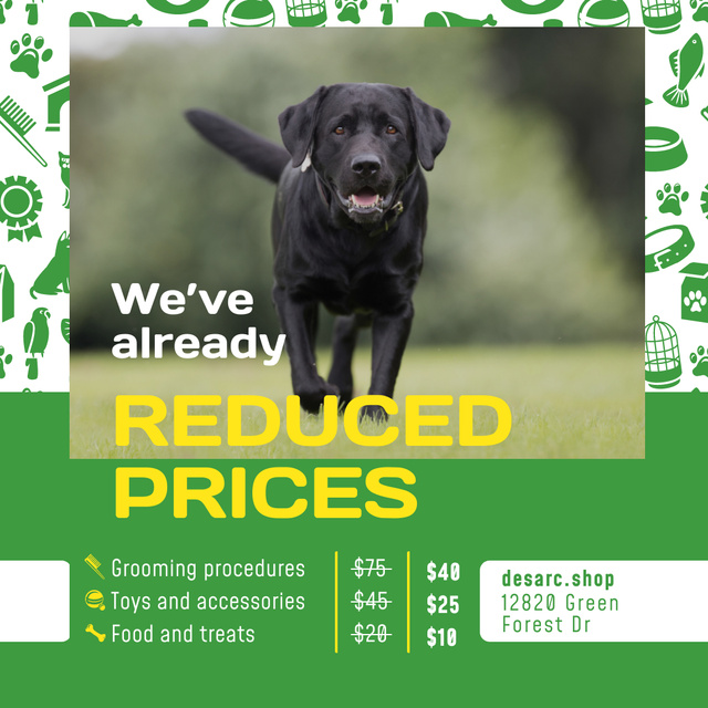 Pet Supplies Offer Dog Running in Green Grass Instagram – шаблон для дизайна