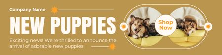 Plantilla de diseño de Nuevos cachorros Corgi listos para adopción Twitter 