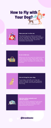 Rules of Conduct While Flying with Dog Infographic Design Template