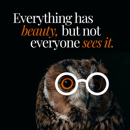 Wise Quote with Funny Owl Instagram Design Template