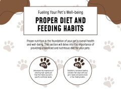 Creating Healthy Environment for Pets