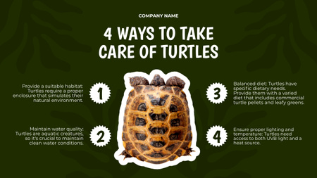 Tips How To Care of Turtles Mind Map Design Template