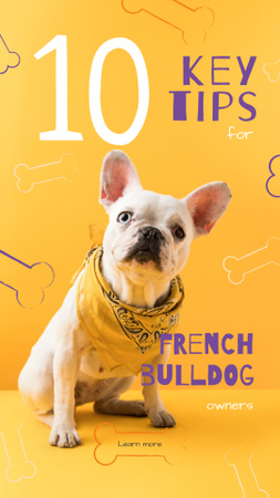 Designvorlage niedliche französische bulldogge für Instagram Story