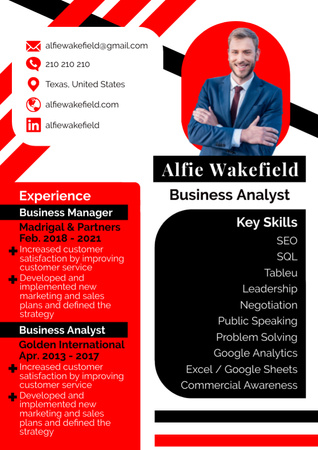 Business Analyst Red Resume CV  Resume – шаблон для дизайна