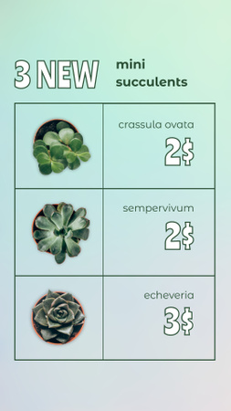 Plantilla de diseño de Conjunto de nuevas mini suculentas con precios. Instagram Story 
