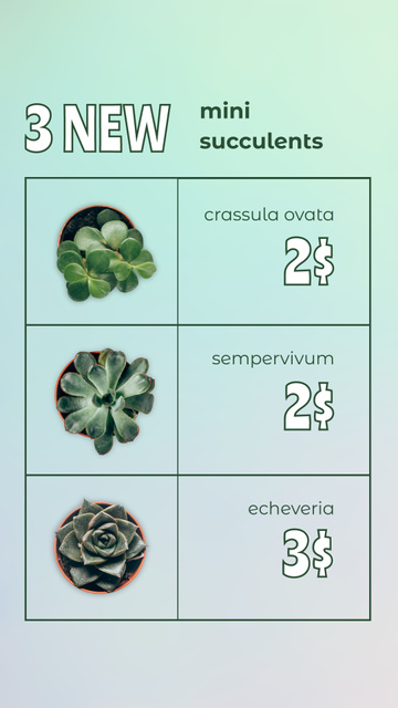 Set Of New Mini Succulents With Prices Instagram Story – шаблон для дизайна