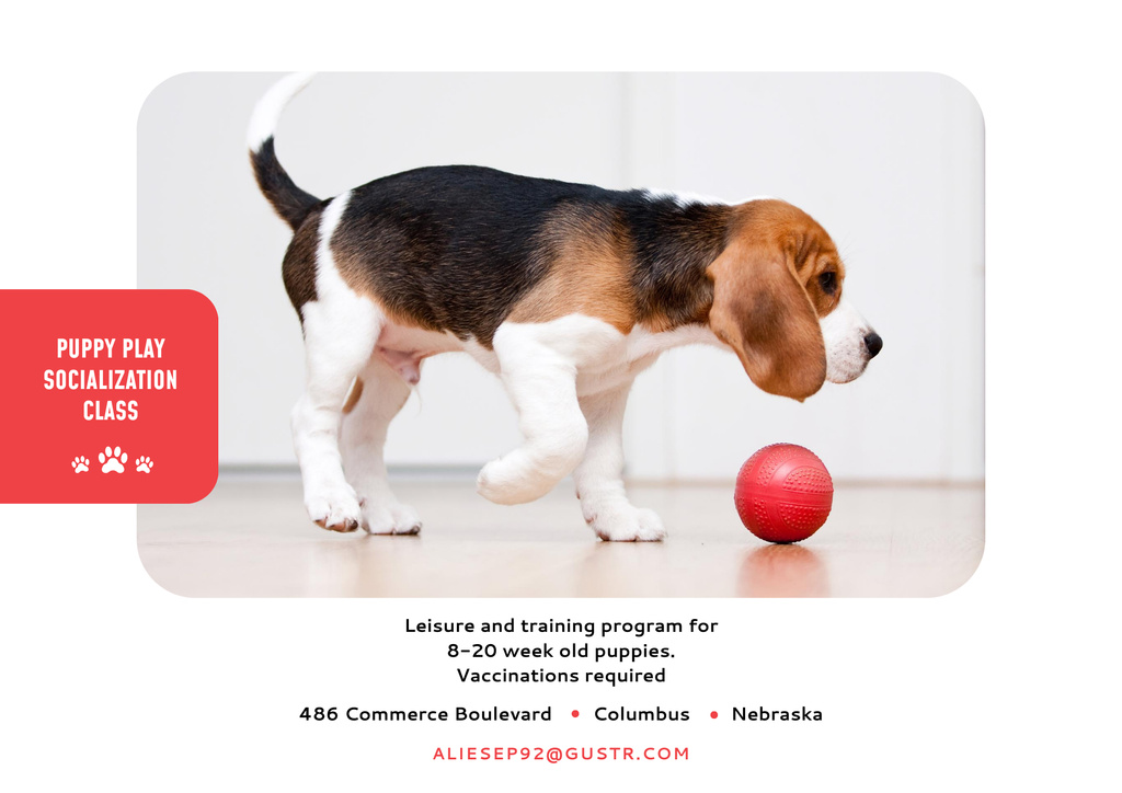 Accredited Puppy Play Socialization Class Poster B2 Horizontal – шаблон для дизайну