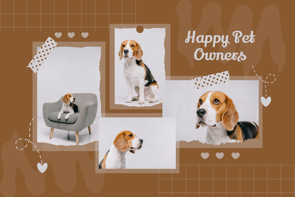Cute Beagle Puppy Posing for Photo Mood Board Tasarım Şablonu