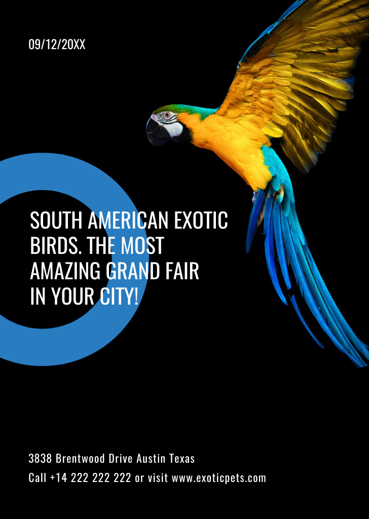 Exotic Birds Fair with Blue Macaw Parrot Flyer A6デザインテンプレート