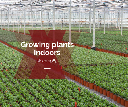 Ontwerpsjabloon van Facebook van Landbouwplanten in Greenhouse
