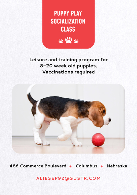 Puppy Play Socialization Class Promotion With Training Program Poster 28x40in Design Template