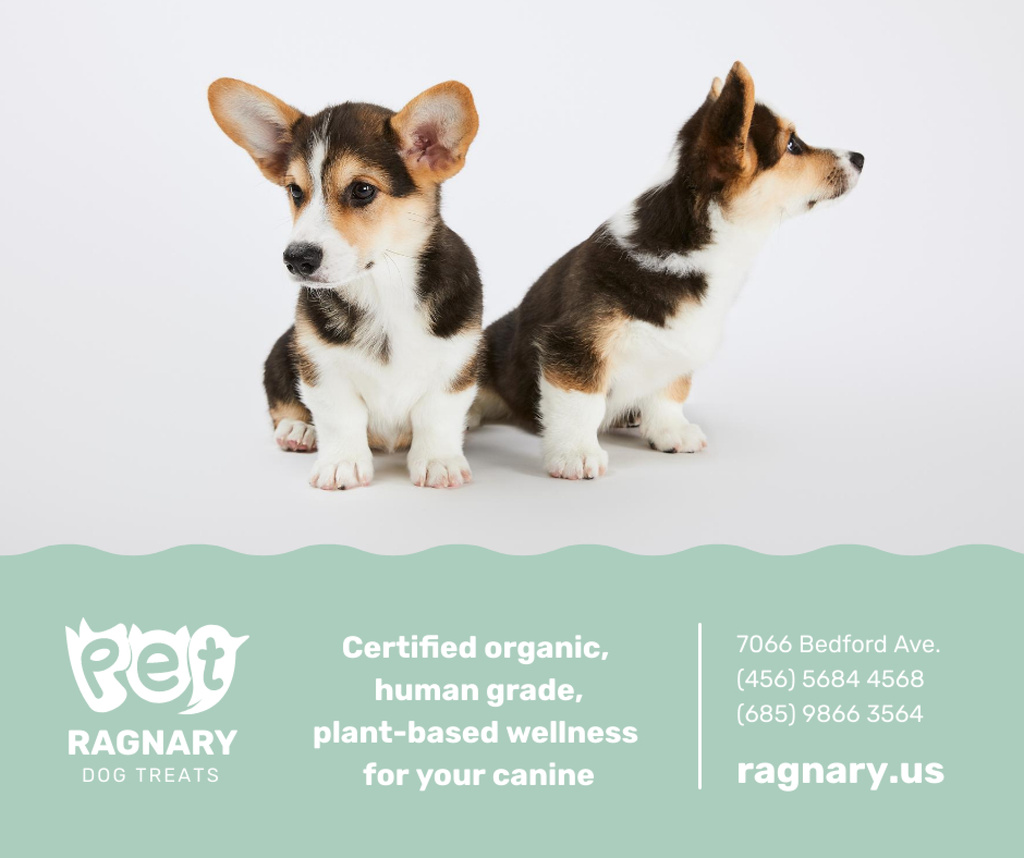Dog treats for cute Corgi Puppies Facebook Design Template
