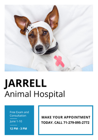 Dog in Animal Hospital Poster B2 Design Template