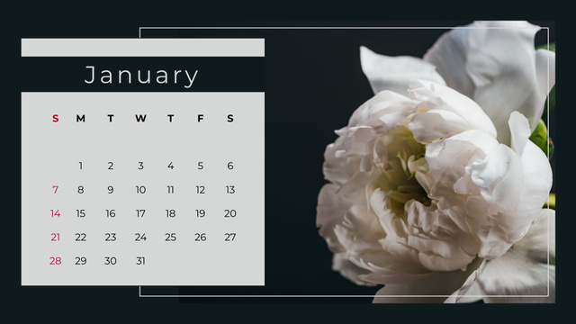 Beautiful White Flower Calendar Tasarım Şablonu