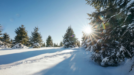 Ontwerpsjabloon van Zoom Background van Winterlandschap bij zonnig weer