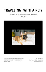 Pet Travel Guide with Cute Dog laying on Bed