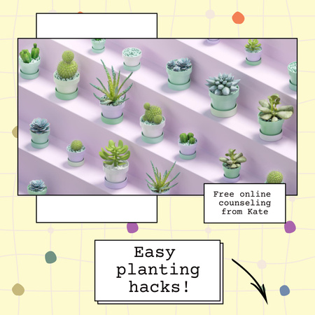 Planting Hacks Ad With Various Plants In Pots Instagram Design Template