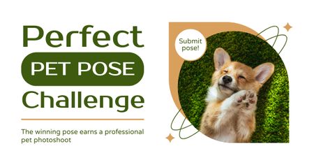 Pet Posing Competition Facebook AD Design Template