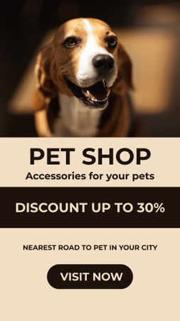 Nearest Pet Shop With Accessories At Discounted Rates Instagram Story Design Template