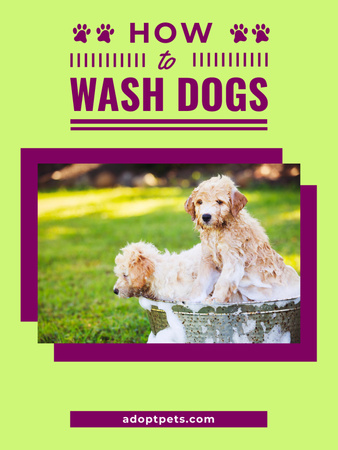 Washing Dog Cute Puppies in Foam Poster 36x48in Design Template
