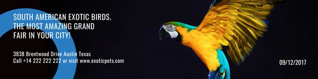 South American exotic birds fair Twitter Modelo de Design