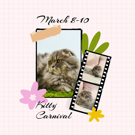 Fluffy Cats Expo Announcement In Spring Animated Post Design Template