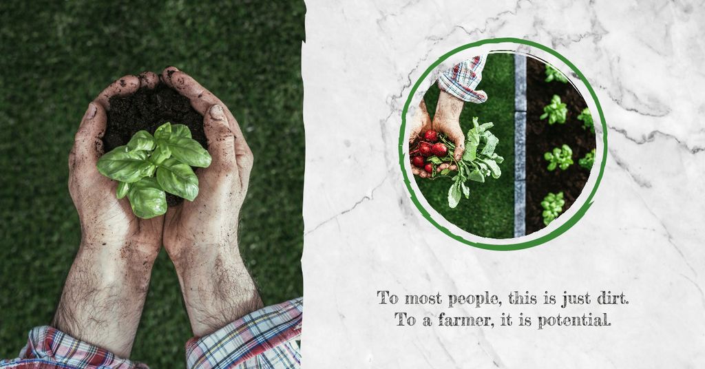 Farmer harvesting vegetables Facebook AD – шаблон для дизайну