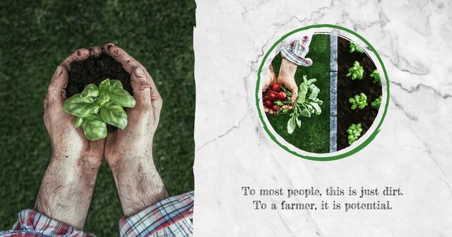 Designvorlage Farmer harvesting vegetables für Facebook AD