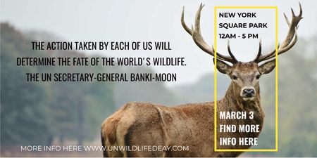 New York Square Park Ad with Deer Twitter Design Template
