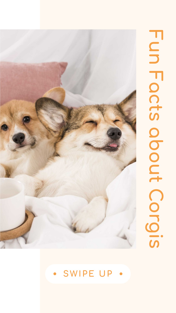 Plantilla de diseño de Fun Facts about Corgis with Cute Puppies Instagram Story 