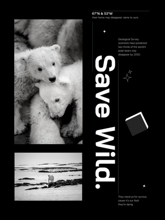 Kutup Ayıları ile İklim Değişikliğine Farkındalık Poster US Tasarım Şablonu
