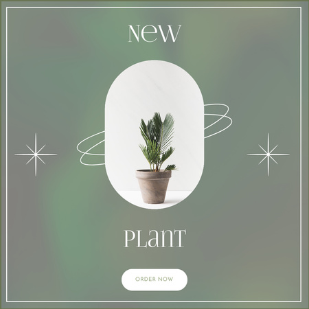 Plantilla de diseño de New Pot Plant Promo on Green Instagram 