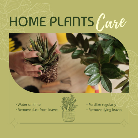 Houseplants Care Tips With Succulent Animated Post Design Template