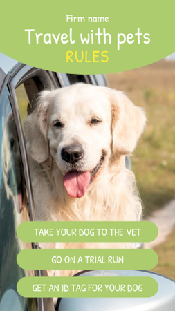Golden Retriever Dog Looking Out Car Window in Field Instagram Video Story Design Template
