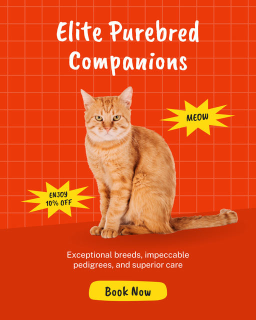 Elite Purebred Feline Companions Instagram Post Vertical – шаблон для дизайну