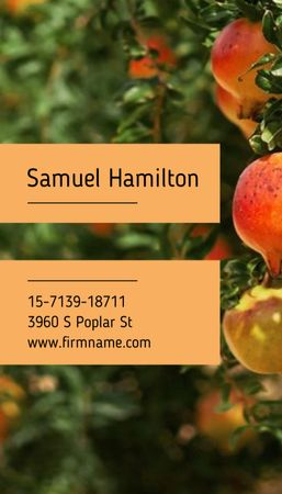 Pomegranate Farm Ad Business Card US Vertical Design Template