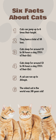 List of Facts About Cats Infographic Design Template