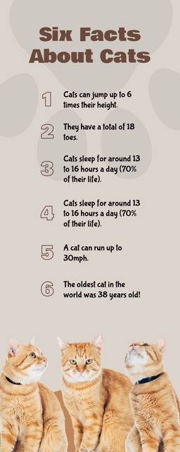 List of Facts About Cats Infographic Šablona návrhu