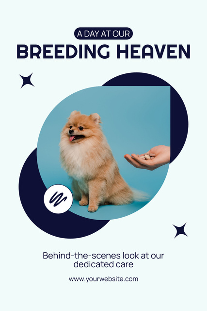 Designvorlage Exclusive Spitzs Breeding für Pinterest