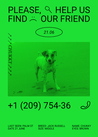 Announcement about Missing Dog Flyer A6 Design Template