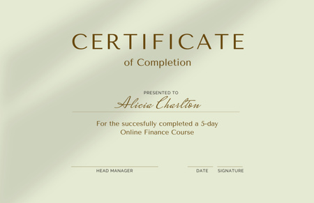 Online Finance Course completion Certificate 5.5x8.5in tervezősablon