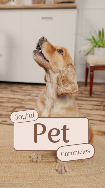 Delightful Puppy Stories And Reviews From Customers TikTok Video Design Template
