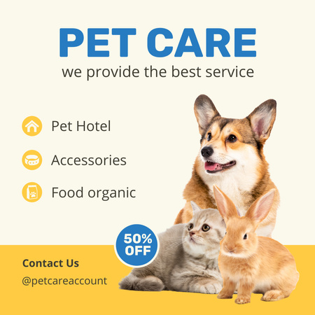 Pet Care Offer with Cute Animals Animated Post Design Template
