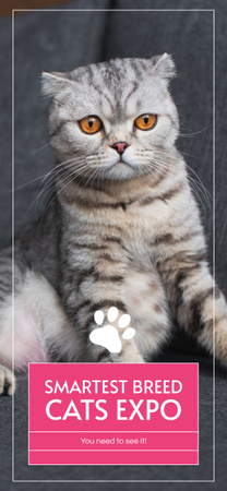 Expo das raças de gatos mais inteligentes Snapchat Moment Filter Modelo de Design