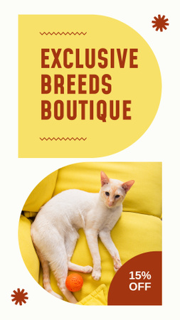 Designvorlage Boutique für seltene Katzenrassen für Instagram Story