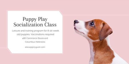 Ontwerpsjabloon van Image van Puppy socialization class with Dog in pink