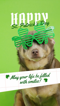 Plantilla de diseño de Saludos del día de Patrick con perro en gafas TikTok Video 