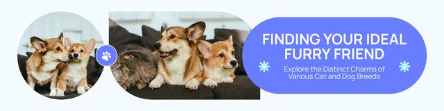 Designvorlage Find Your Perfect Friend Among the Fluffy Corgi Puppies für Twitter