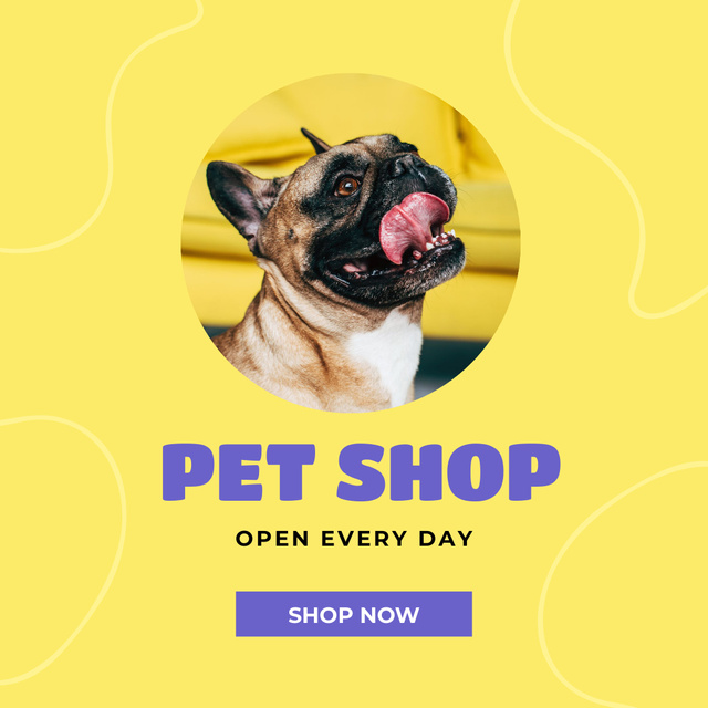 Ontwerpsjabloon van Instagram van Pet Boutique Ad Campaign with Cute Dog