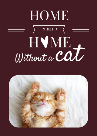 Cute Сat Sleeping At Home Postcard A6 Vertical Tasarım Şablonu